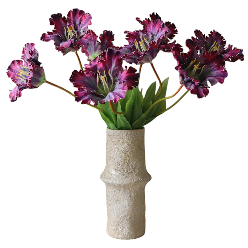 Parrot Tulip Buket 70 cm 5-pak