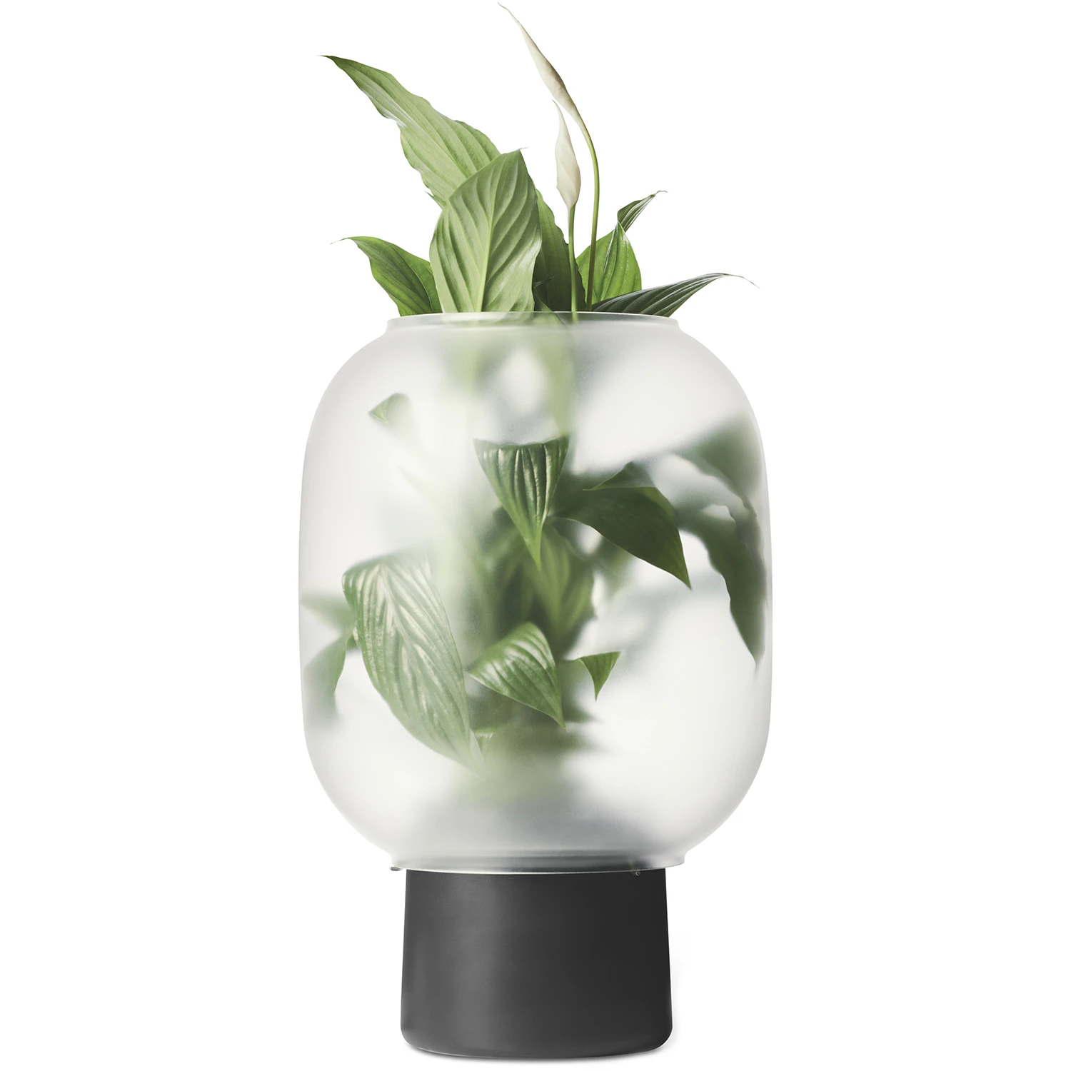 Gejst Nebl Big Urtepotte Mega &Oslash;26 Cm - Krukker Glas Sort - 10325