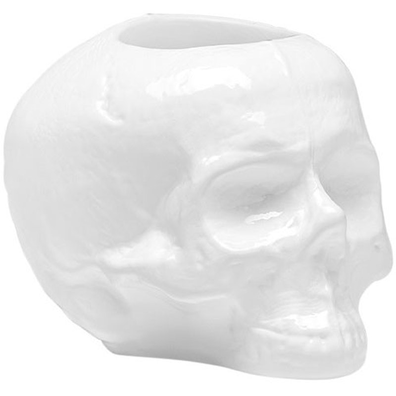 Still Life Skull Lanterne, Hvid
