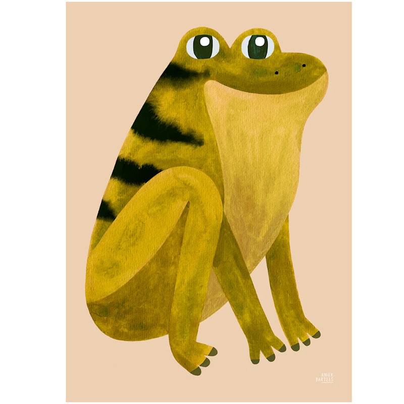 Frog Plakat 50x70 cm