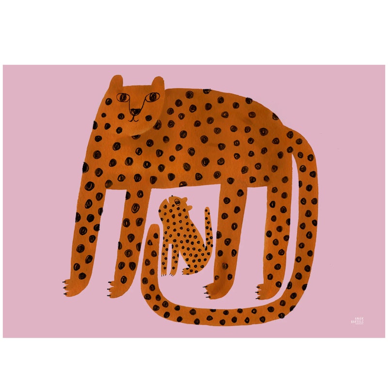 Leopards Plakat 30x40 cm