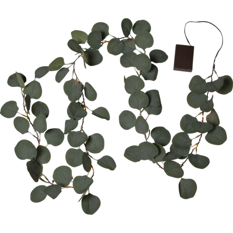 Eucalyptus Guirlande