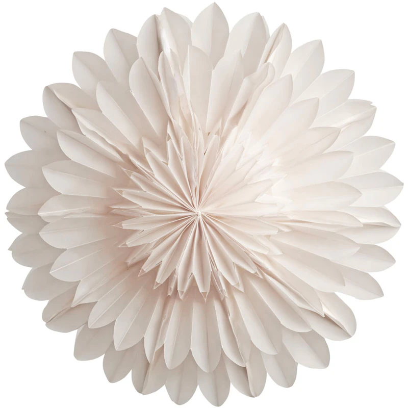 Lotus 44 Julestjerne, Hvid